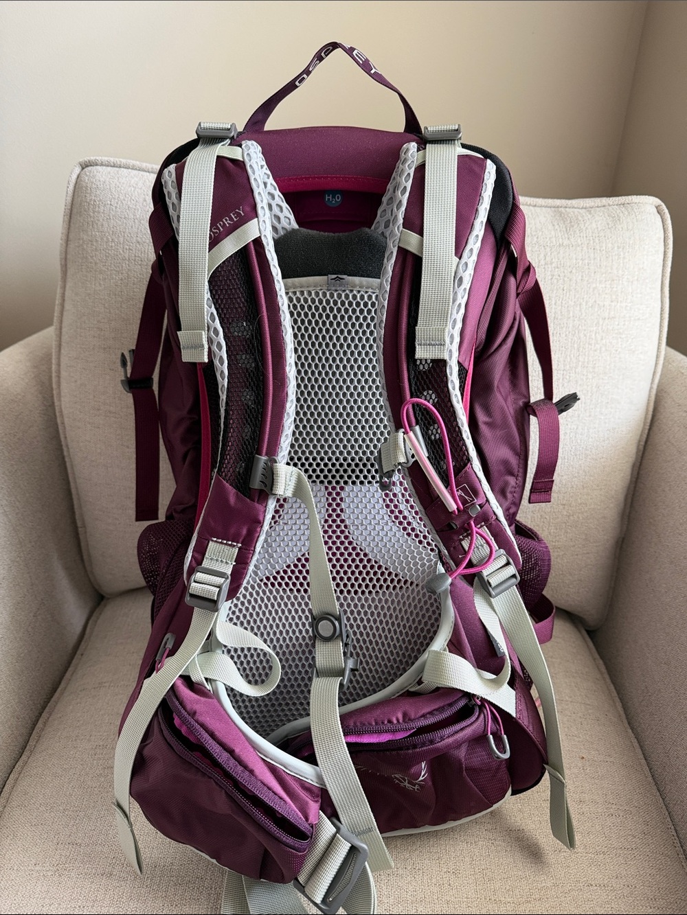 OSPREY Sirrus 24 Women's Backpack - Plum - Picture 2 of 2